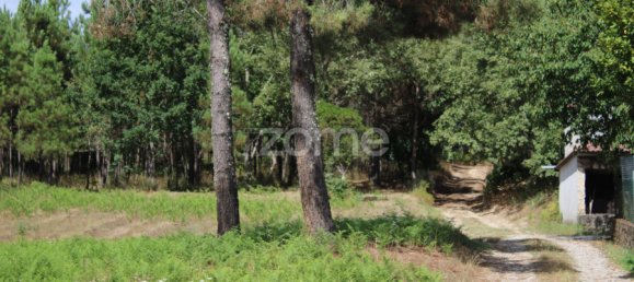  Land in Viseu, Portugal No. 91721 27