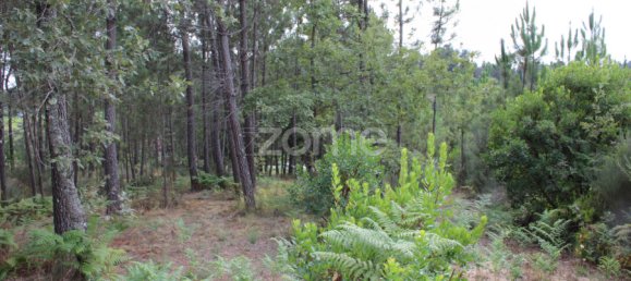  Land in Viseu, Portugal No. 91721 34