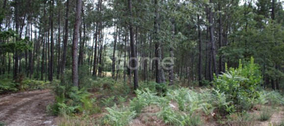  Land in Viseu, Portugal No. 91721 35