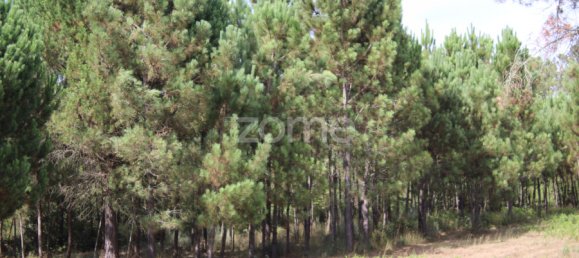  Land in Viseu, Portugal No. 91721 29