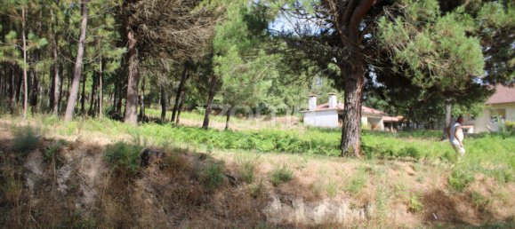  Land in Viseu, Portugal No. 91721 12