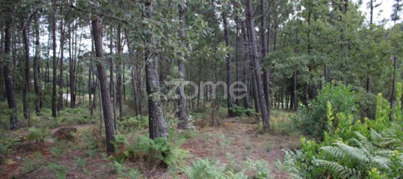  Land in Viseu, Portugal No. 91721 33