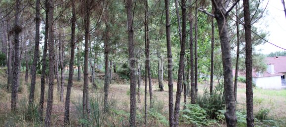  Land in Viseu, Portugal No. 91721 24