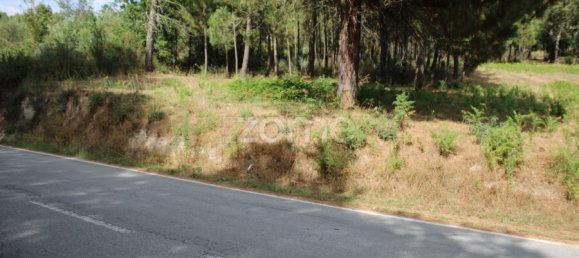  Land in Viseu, Portugal No. 91721 10