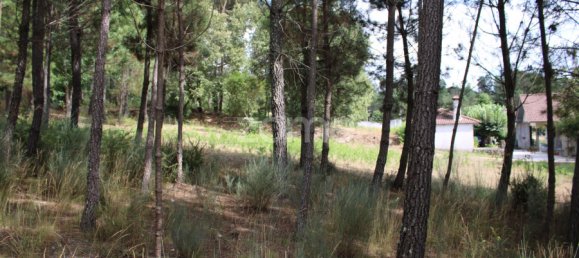  Land in Viseu, Portugal No. 91721 19