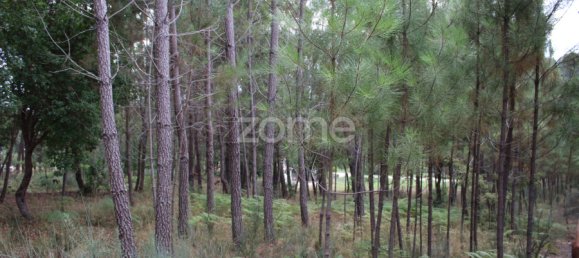  Land in Viseu, Portugal No. 91721 26