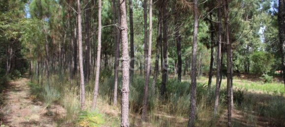  Land in Viseu, Portugal No. 91721 21