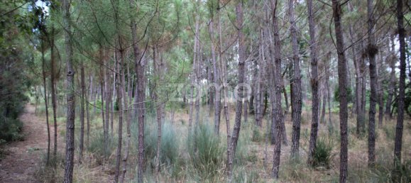  Land in Viseu, Portugal No. 91721 25