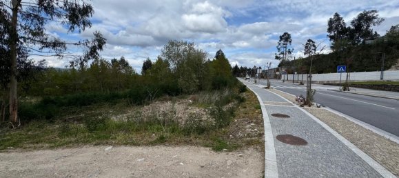 Terreno en Freamunde, Portugal No. 45726 20