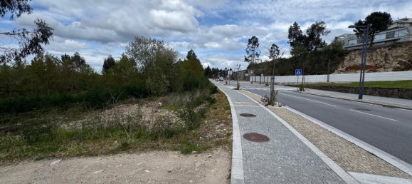 Terreno en Freamunde, Portugal No. 45726 18