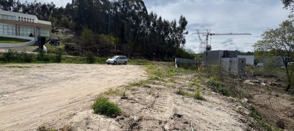 Terreno en Freamunde, Portugal No. 45726 15