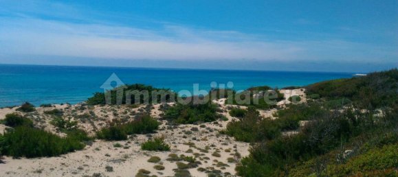 2 chambres Villa à Maruggio, Italy No. 251033 14