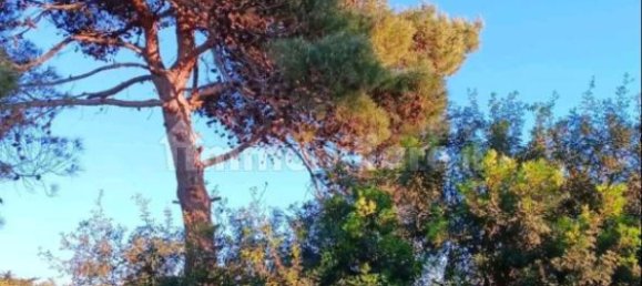 2 chambres Villa à Maruggio, Italy No. 251033 5