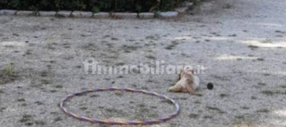 2 chambres Villa à Maruggio, Italy No. 251033 20