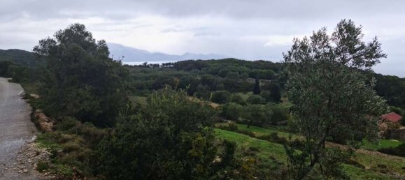  Hotel in Zakynthos, Greece No. 525 8