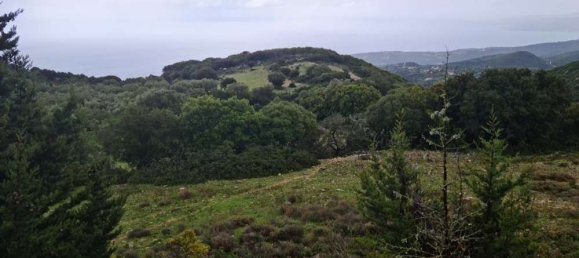  Hotel in Zakynthos, Greece No. 525 5