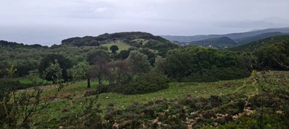  Hotel in Zakynthos, Greece No. 525 10