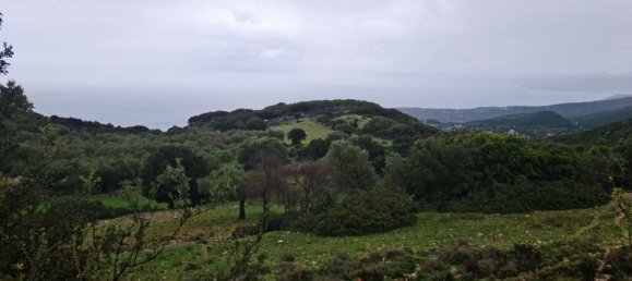  Hotel in Zakynthos, Greece No. 525 3