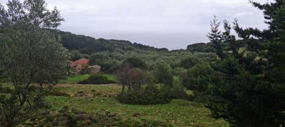  Hotel in Zakynthos, Greece No. 525 2