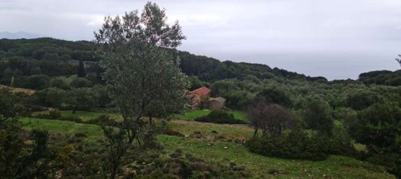  Hotel in Zakynthos, Greece No. 525 7