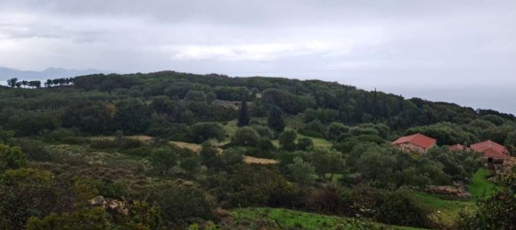  Hotel in Zakynthos, Greece No. 525 4