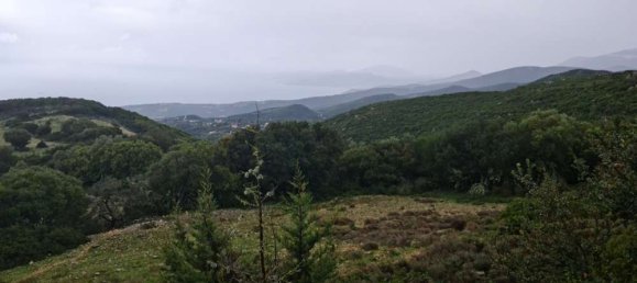  Hotel in Zakynthos, Greece No. 525 6