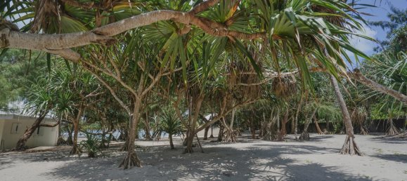 Terreno em Port-Vila, Vanuatu 10800 m² N.º 130 10