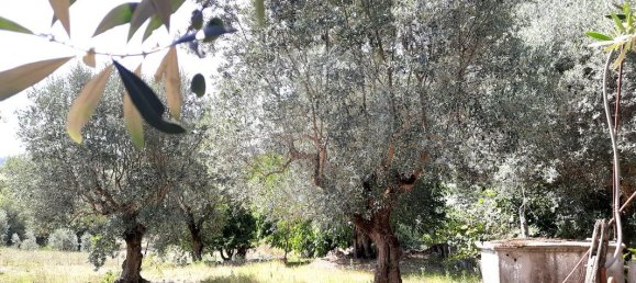 2 Schlafzimmer Haus in Redinha, Portugal, Nr. 179415 22