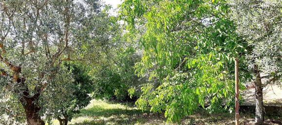 2 Schlafzimmer Haus in Redinha, Portugal, Nr. 179415 23