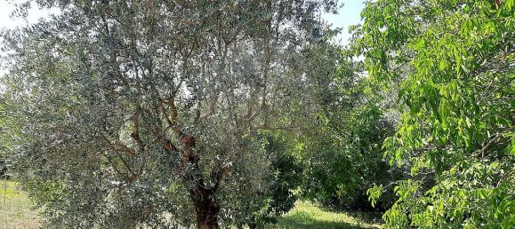 2 Schlafzimmer Haus in Redinha, Portugal, Nr. 179415 24