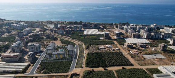 Apartment 1+1 in Alanya, Turkey No. 8908 3