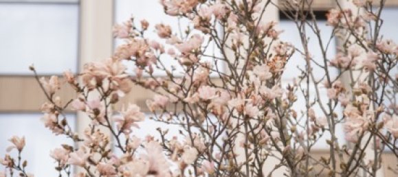 3 bedrooms Apartment in Nine Elms, United Kingdom No. 3052 23