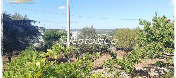 Villa de 11 dormitorios en Ostuni, Italy No. 333907 36