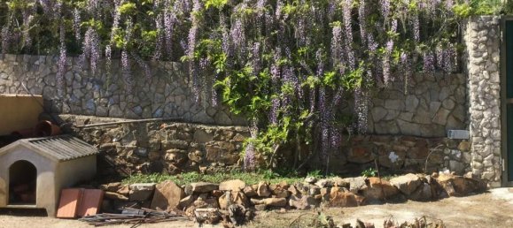 4 bedrooms House in Colares, Portugal No. 120577 12