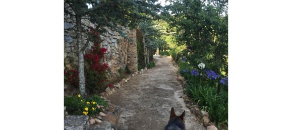 4 bedrooms House in Colares, Portugal No. 120577 17