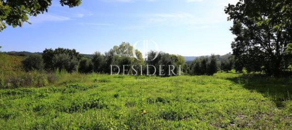  Castillos de 12 habitaciónes en Magliano in Toscana, Italy No. 91097 7