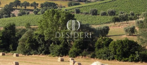  Castillos de 12 habitaciónes en Magliano in Toscana, Italy No. 91097 14