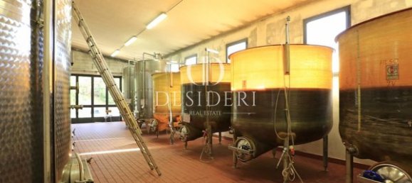  Castillos de 12 habitaciónes en Magliano in Toscana, Italy No. 91097 16