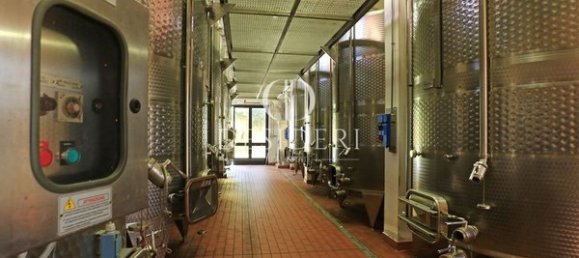  Castillos de 12 habitaciónes en Magliano in Toscana, Italy No. 91097 10