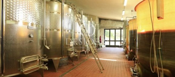  Castillos de 12 habitaciónes en Magliano in Toscana, Italy No. 91097 17