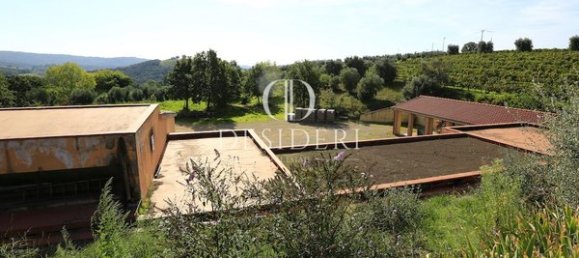  Castillos de 12 habitaciónes en Magliano in Toscana, Italy No. 91097 5