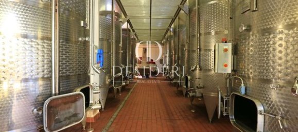  Castillos de 12 habitaciónes en Magliano in Toscana, Italy No. 91097 15