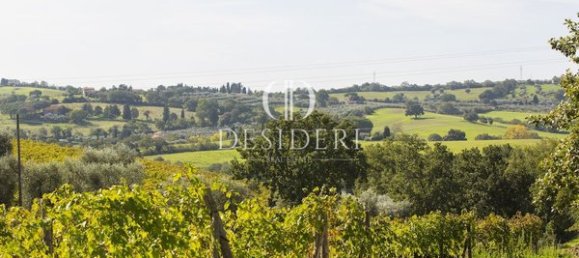  Castillos de 12 habitaciónes en Magliano in Toscana, Italy No. 91097 9