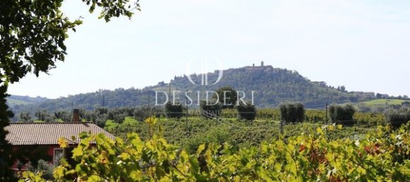  Castillos de 12 habitaciónes en Magliano in Toscana, Italy No. 91097 3