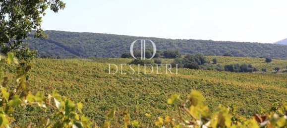  Castillos de 12 habitaciónes en Magliano in Toscana, Italy No. 91097 4