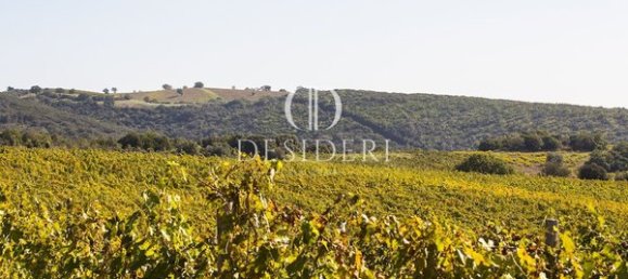  Castillos de 12 habitaciónes en Magliano in Toscana, Italy No. 91097 13