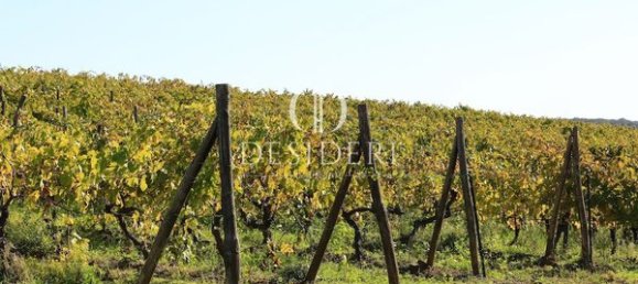  Castillos de 12 habitaciónes en Magliano in Toscana, Italy No. 91097 8