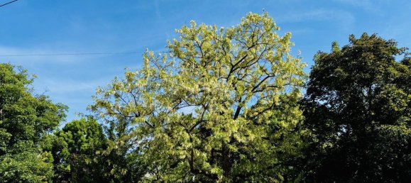 1 bedroom Apartment in Brigittenau, Austria No. 185776 10