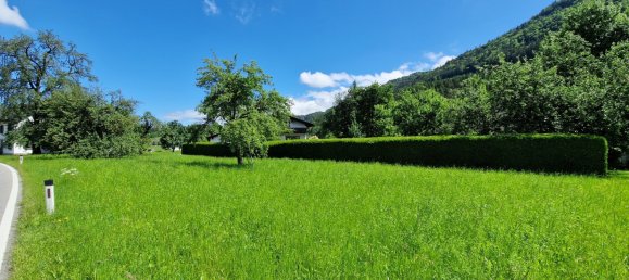  قطعة أرض في Gofis, Austria رقم 62822 2