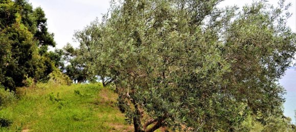 Hotel in Corfu, Greece 5000m², Nr. 4959 3